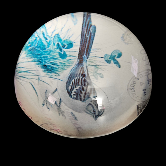 Vintage Glass Paperweight Winter Bird Illustration USPS Postcard Theme - Picture 4 of 6